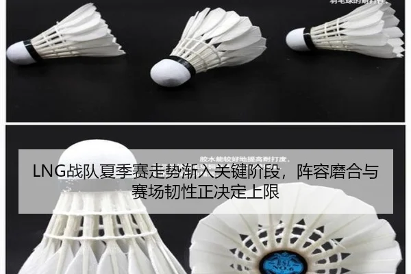 LNG战队夏季赛走势渐入关键阶段，阵容磨合与赛场韧性正决定上限